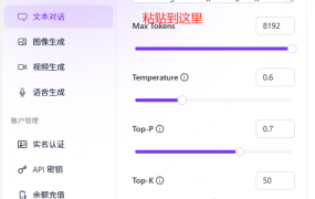 DeepSeek在第三方SiliconFlow使用时的注意事项